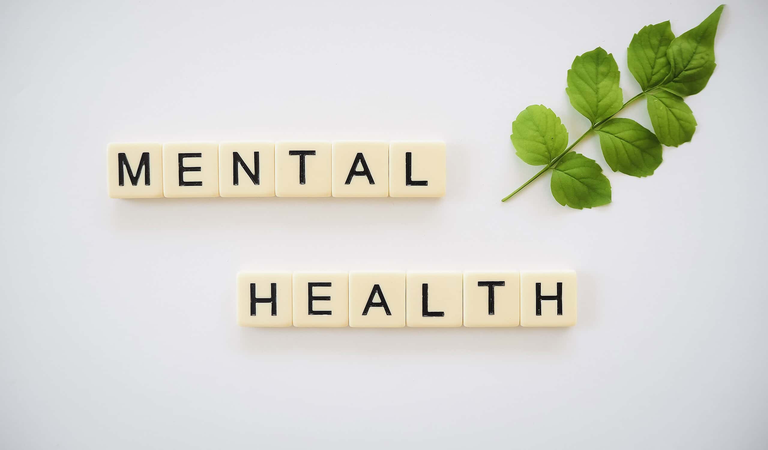 Mental Health em Letras de scrabble e folha de planta verde